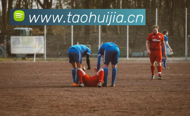 kaiyun体育官网登录方式平台生态图